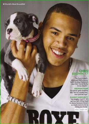 Chris brown diamond 488X674 jpeg