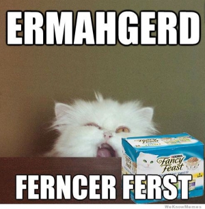 Ermahgerd cat meme 494X504 jpeg