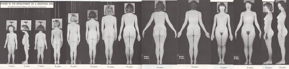 Time lapse puberty full size