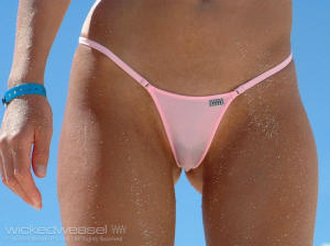 Micro bikini camel toe 651X488 jpeg