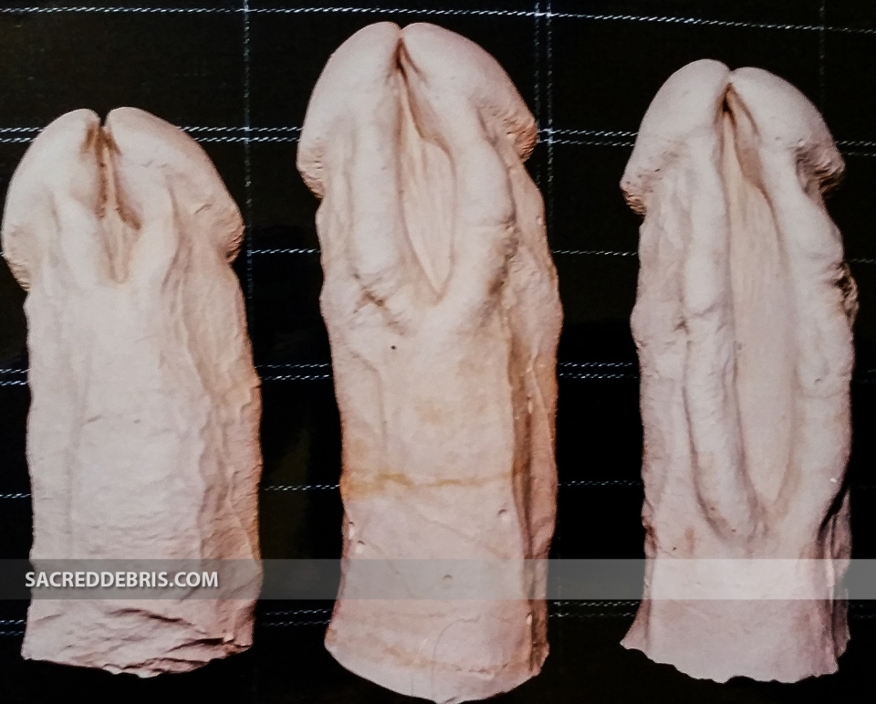 Subincision body modification full size