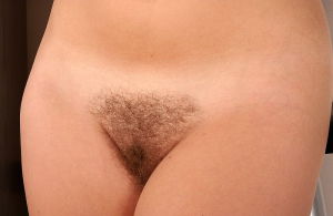 Bikini wax pubic hair styles 800X522 jpeg