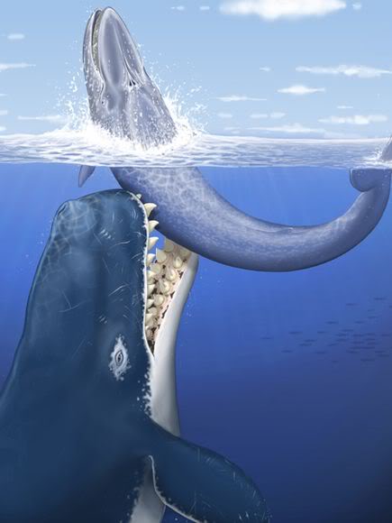 Leviathan prehistoric whale full size