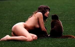 Barbie barbi benton playboy 640X401 jpeg