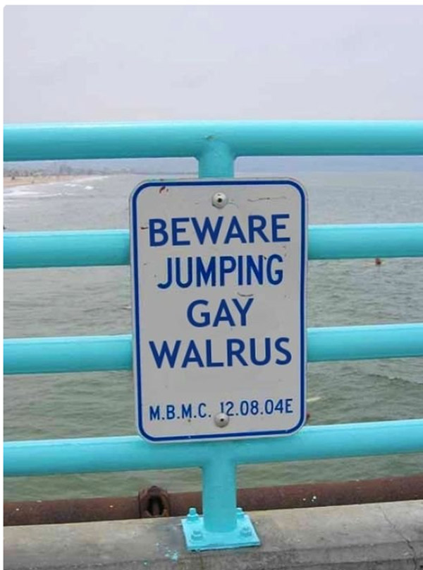 Funny animal signs full size