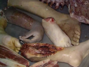 Eating human body parts 640X480 jpeg
