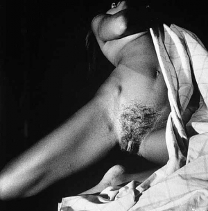 Vanessa williams nude 562X570 jpeg