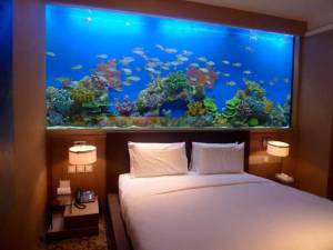 Big home aquarium 960X720 jpeg