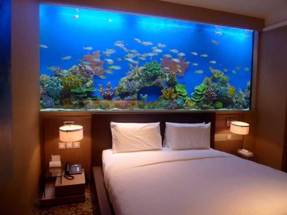 Big home aquarium full size