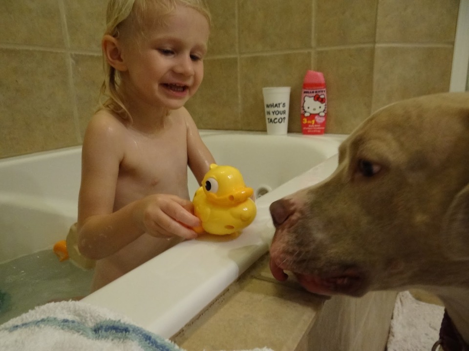 Dog licking my sister full size