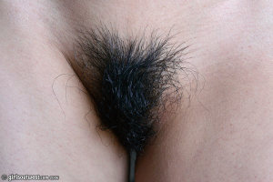 Nude hairy asian pussy 960X640 jpeg