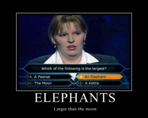 Funny stupid people quotes 960X767 jpeg