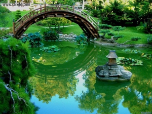 Japanese garden bridge 960X720 jpeg