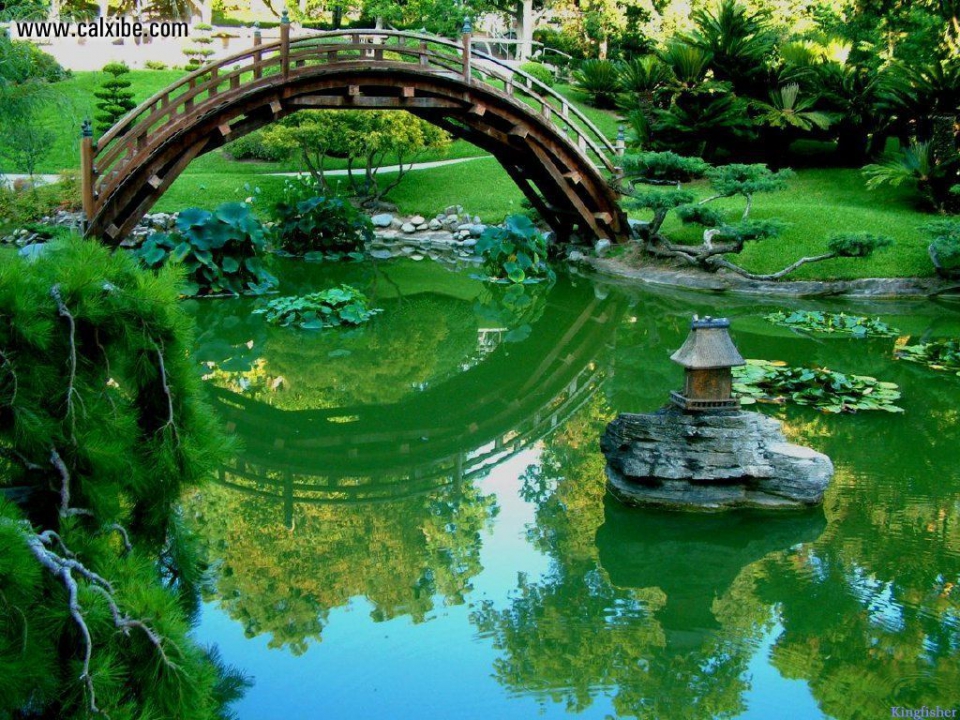 Japanese garden bridge full size
