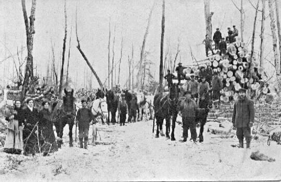 Logging early 1900s full size