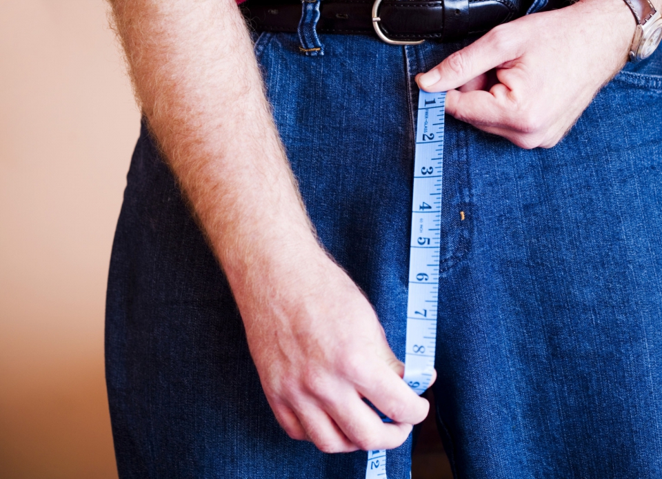 Penis size full size