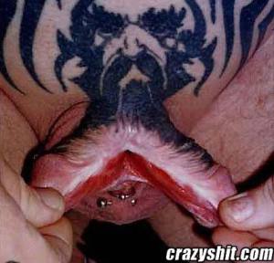 Split cock penis 430X414 jpeg