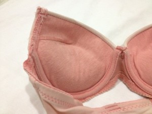 Small tits padded bra 800X600 jpeg