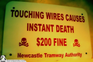 Stupid signs 600X402 jpeg