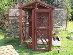 Small outdoor aviary building plans 800X600 jpeg