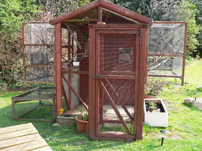 Small outdoor aviary building plans full size