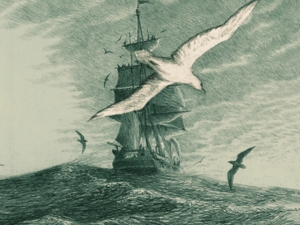 Moby dick 960X720 jpeg