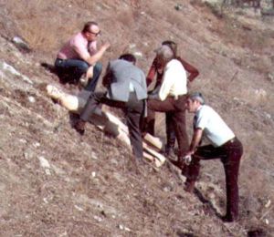 Hillside stranglers victims crime scenes 600X521 jpeg