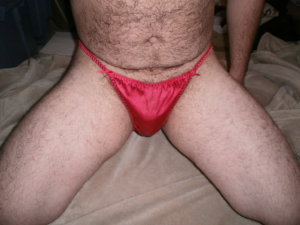 Pink satin string bikini panties 640X480 jpeg