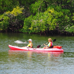 Castaway cottage pine island fl 415X415 jpeg