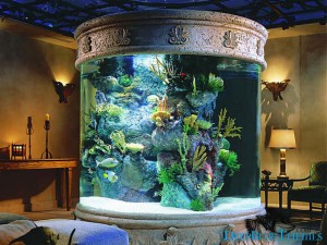 Home fish tanks aquariums 960X723 jpeg