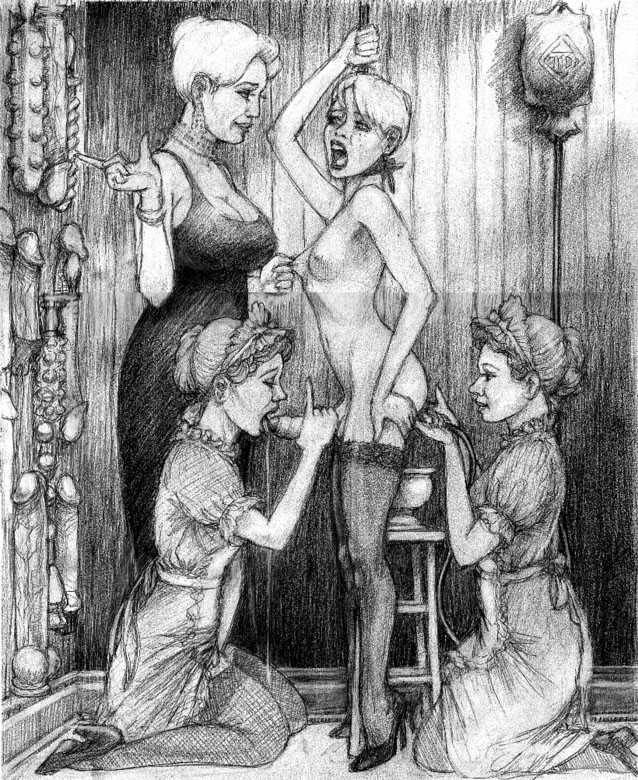 Femdom sissy forced feminization art full size