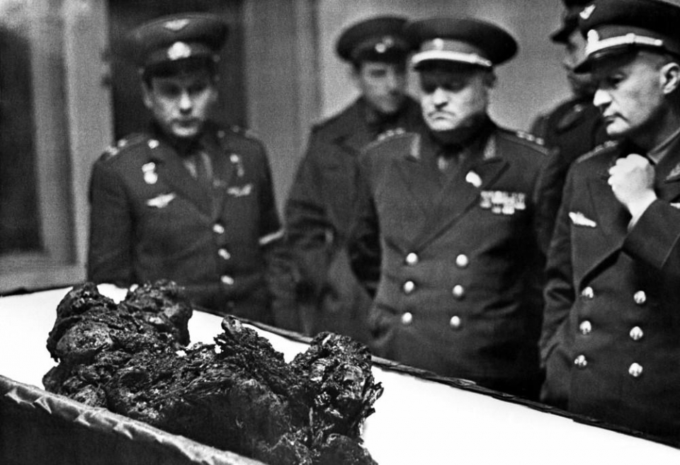 Vladimir komarov open casket full size