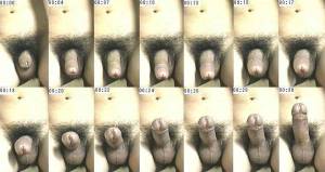 Penis erection stages 757X403 jpeg