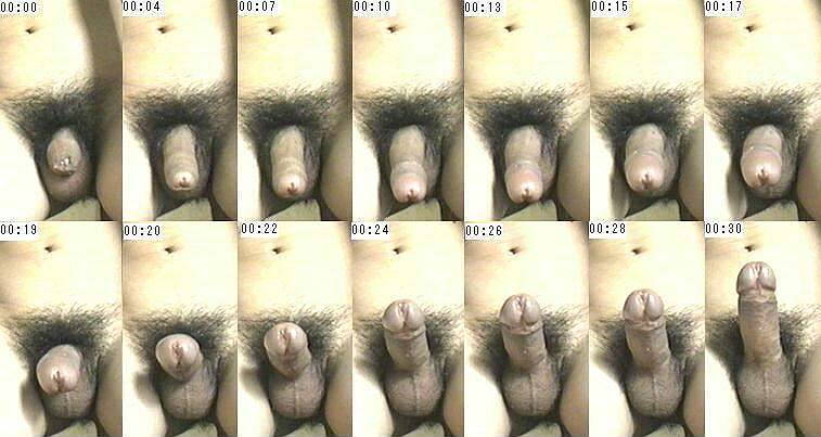 Penis erection stages full size