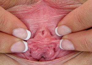 Pee hole close up pussy 960X677 jpeg