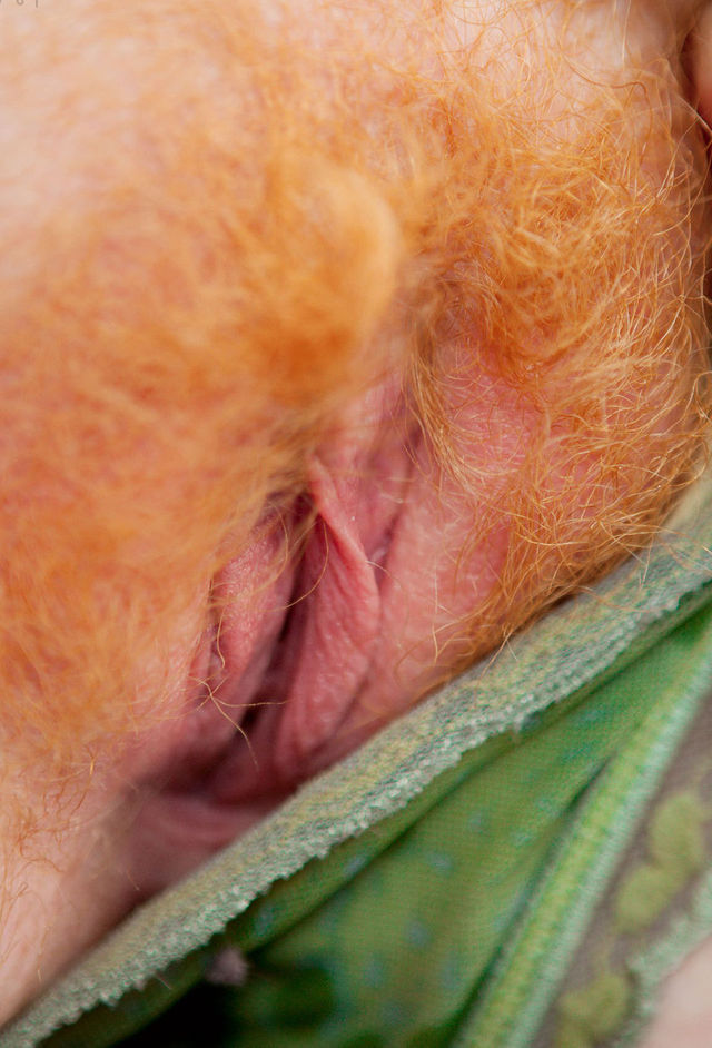 Close up hairy redheads pussy full size