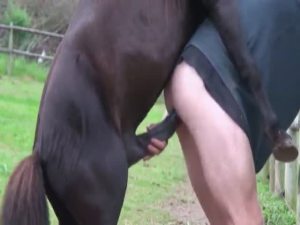 Horse fucks girl woman 640X480 jpeg