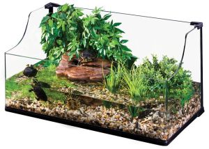 Exo terra turtle tank 668X477 jpeg