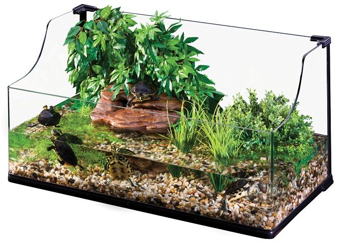 Exo terra turtle tank full size