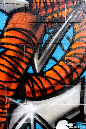 Mutant ninja turtle graffiti 480X720 jpeg