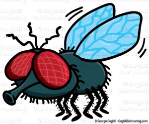 Cartoon flies clip art 540X449 jpeg