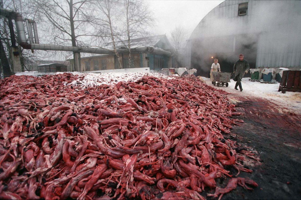 Fur farming full size