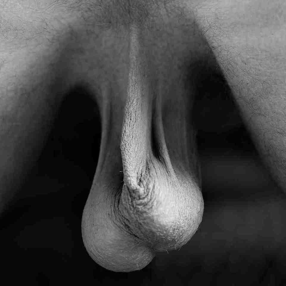 Robert mapplethorpe nude men full size