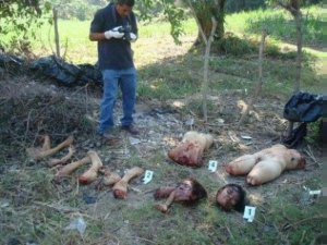 Muslim women rape 584X438 jpeg