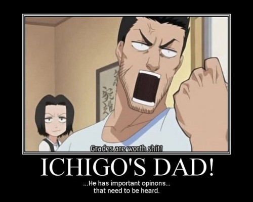 Funny bleach anime full size