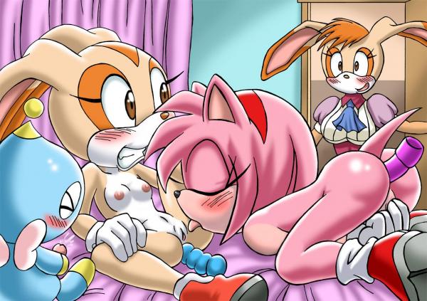 Sonic amy rose porn full size