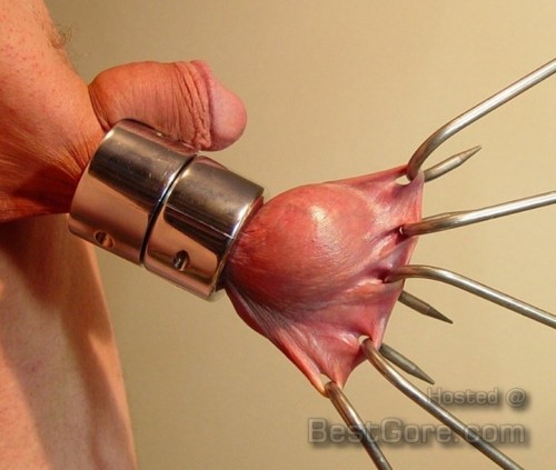 Best gore penis torture full size
