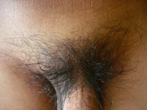 Male pubic hair 960X720 jpeg