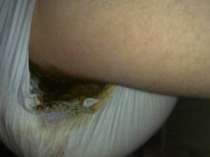 Girl pooping diaper porn 960X720 jpeg