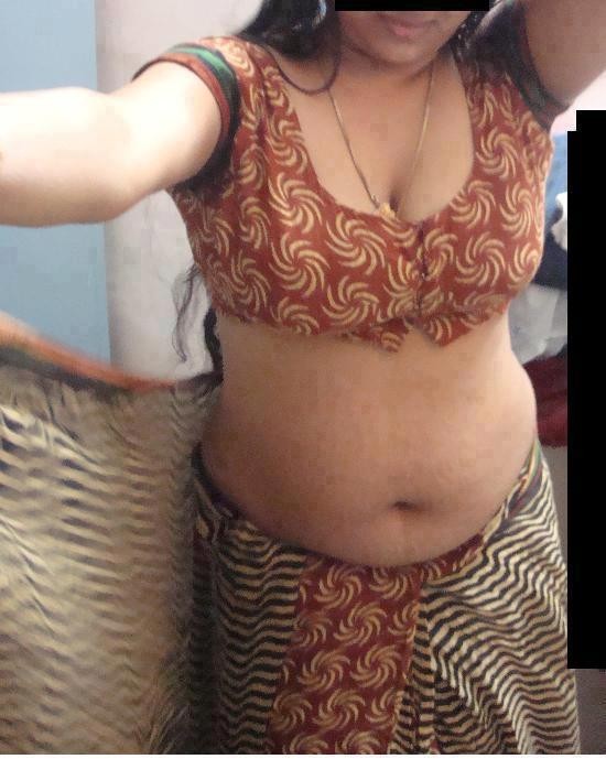 Hot indian wife saree full size